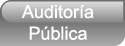 Auditor�a legal